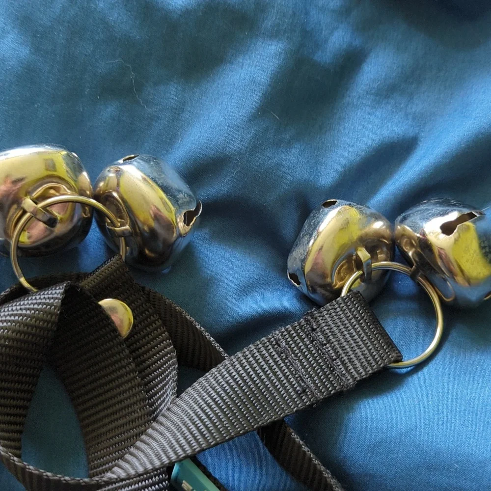 Duke and Dixie Potty Bells